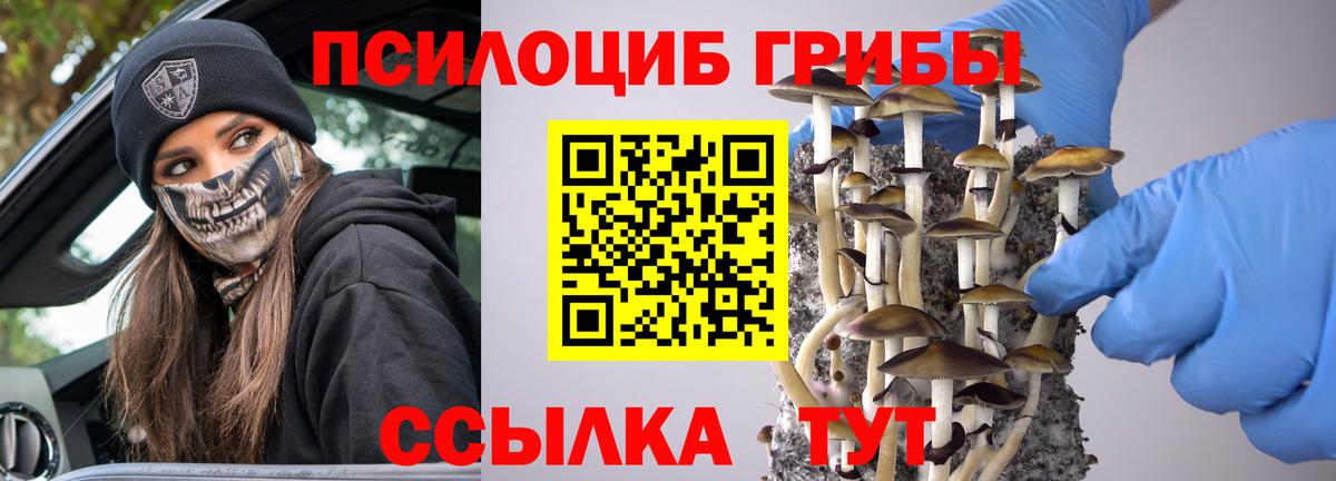 Псилоцибиновые грибы прущие грибы  Вход с VPN  Стрежевой 