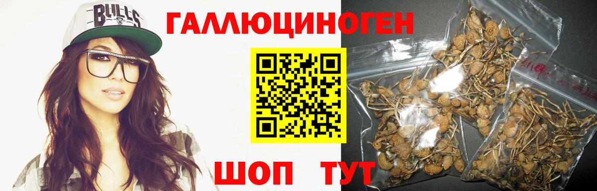 Псилоцибиновые грибы Magic Shrooms Стрежевой
